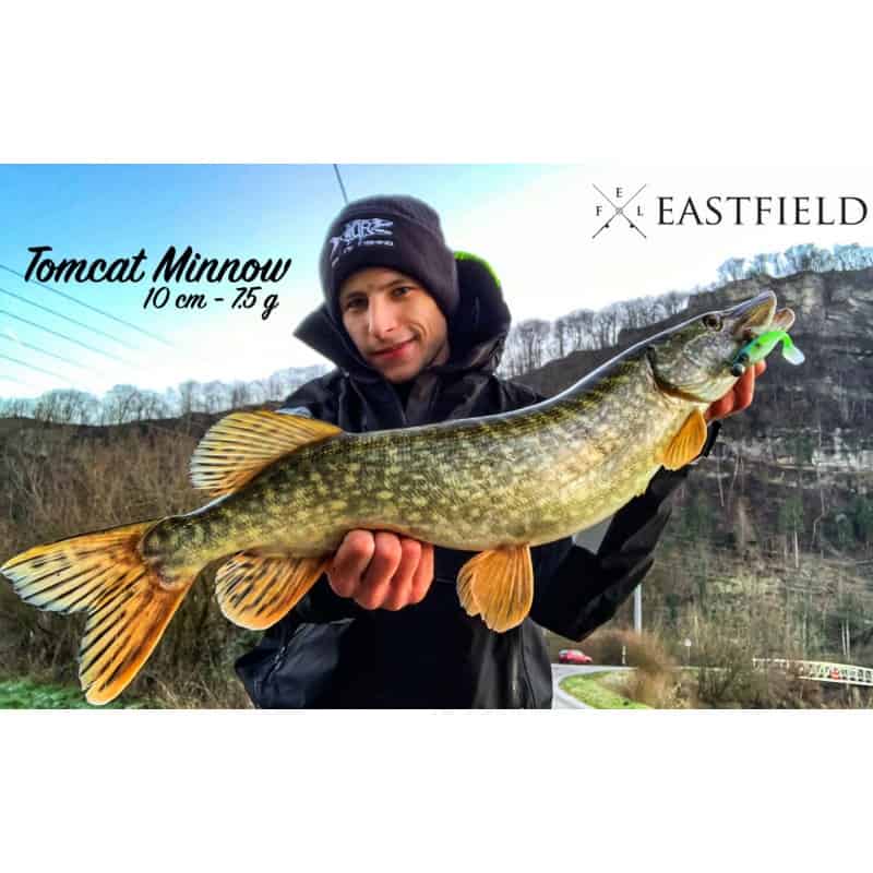 Leurre souple Eastfield Tomcat Minnow