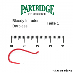Hameçons Partridge Bloody Intruder Barbless