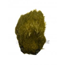 Cou de poule Flyscene