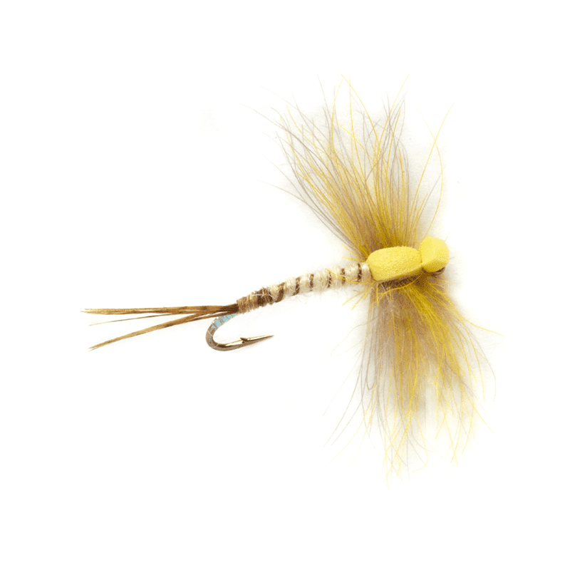 Mouche de mai émergente Procter's Stillborn