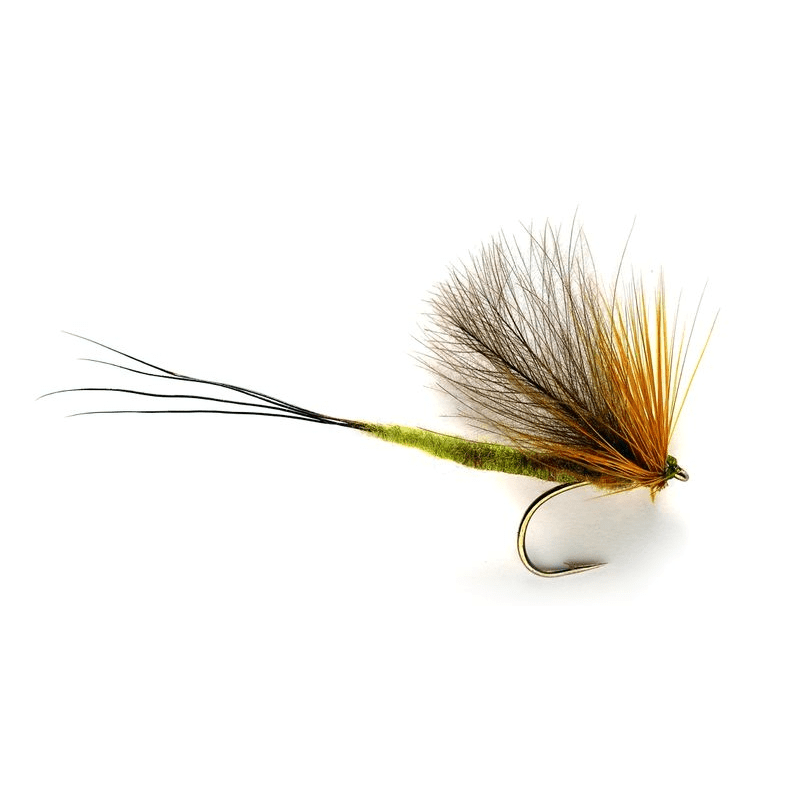 10 Mosche Secche Per Pesca Alla Trota - Modello Mai H10/12/14/16 - Pechetruite