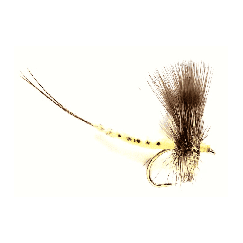 Mouche de mai Mayfly Silhouette