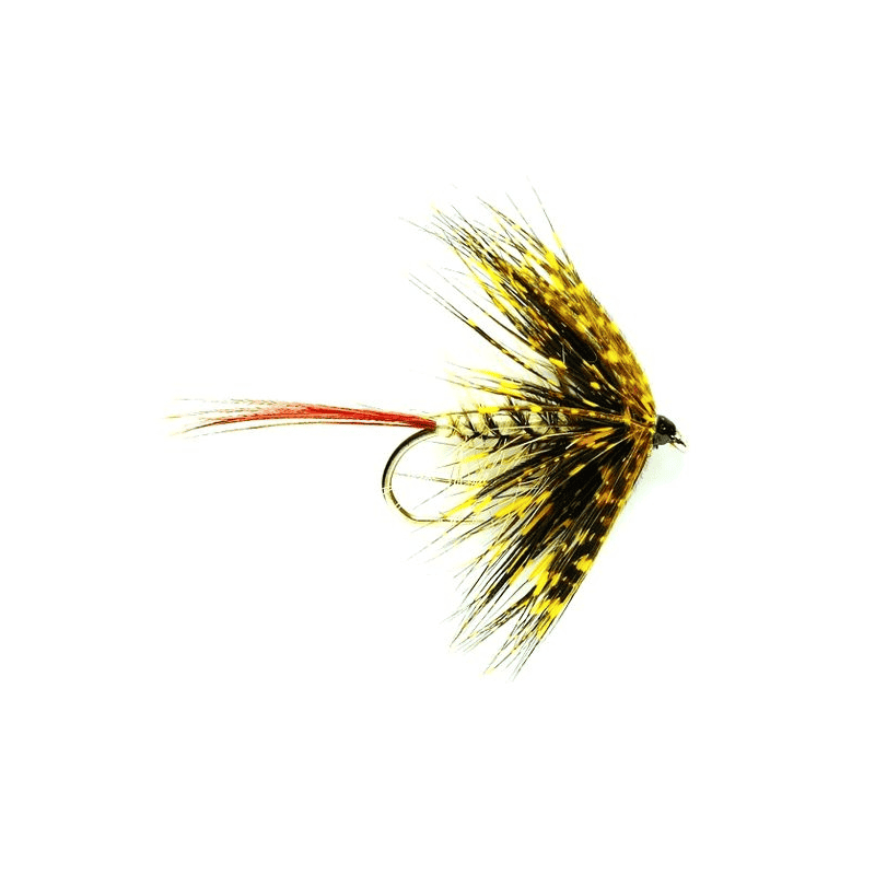Mouche de mai Mayfly Hackled