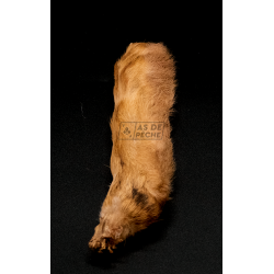 Patte de lièvre de neige