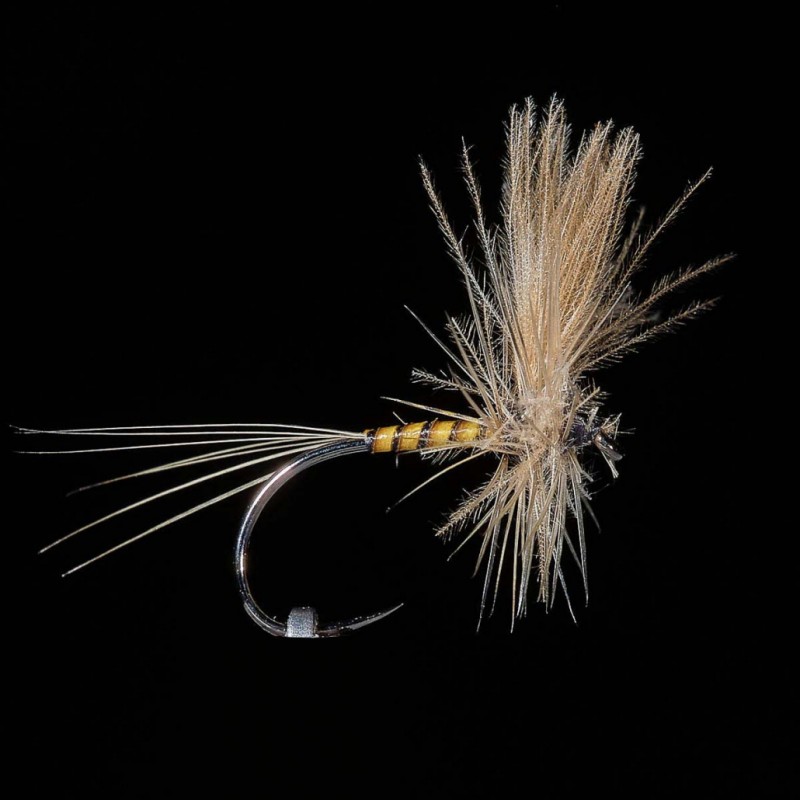 mouche-seche-eli22bl