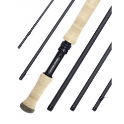 ntt11-salmon-seatrout