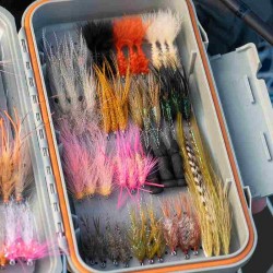 mouche-mer-guideline-