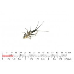 Nymphe tungstène éphémère noire J:Son