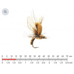 éphémère-émergente-olive-marron-json-14