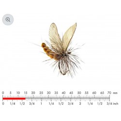éphémère-émergente-cannelle-marron-json-18