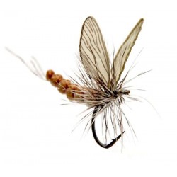 éphémère-émergente-vanille-crème-json-22