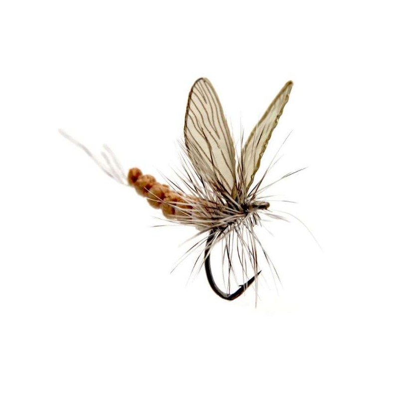 éphémère-émergente-vanille-crème-json-22