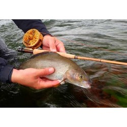 soie-synthétique-térenzio-révolution-wf-speed-phantom-lm2g-ambiance