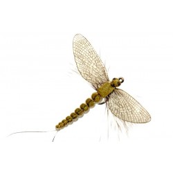 spent-éphémère-gris-olive