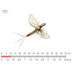 spent-éphémère-vanille-crème-22