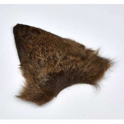 oreille-chevreuil-montage-emergente