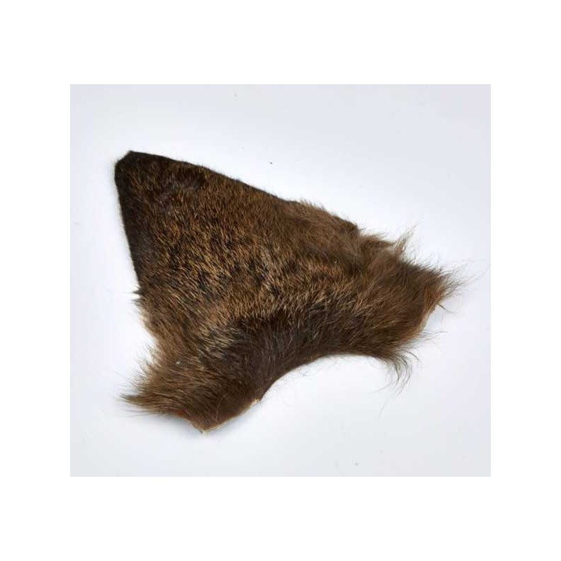 oreille-chevreuil-montage-emergente