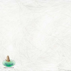 dubbing-shaggy-rubber-dub-fly-scene-blanc