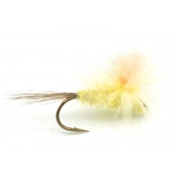 émergente-cdc-parachute-pmd