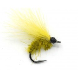 émergente-cdc-jaune-olive