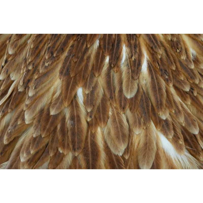 saddle-poule-whiting-marron-2