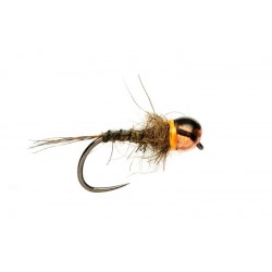 nymphe-tungst&egrave;ne-juglaret-flshback-possum