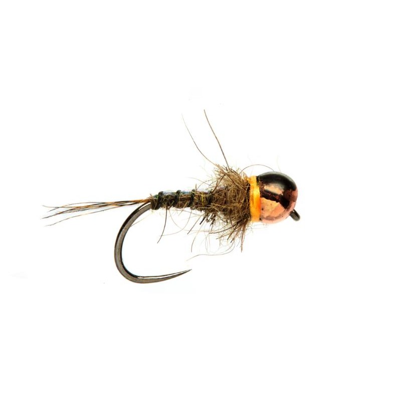 nymphe-tungstène-juglaret-flshback-possum