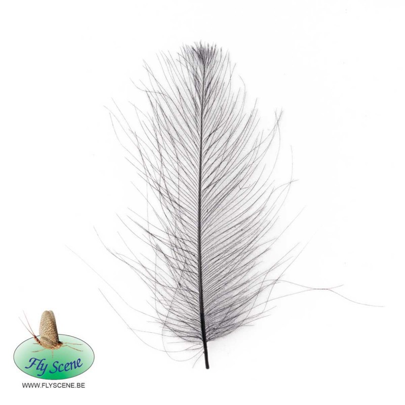 plume de cul de canard cdc pour montage d'émergentes pêche à la mouche