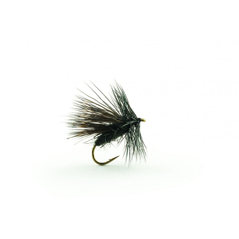 Sedge noir Devaux PS 06