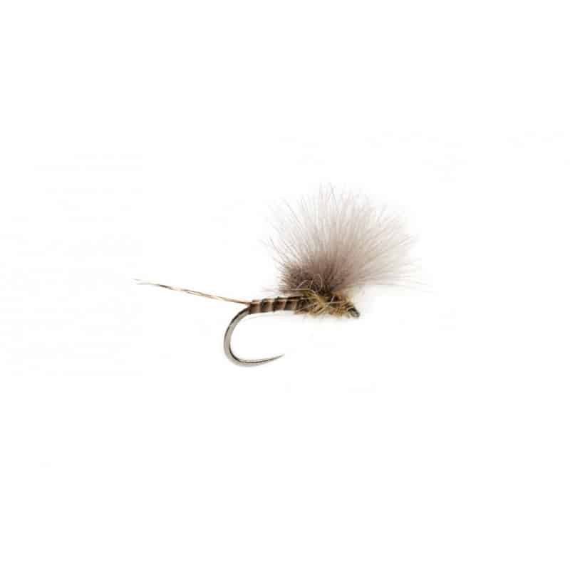 Emergente McPhail Cdc Olive Quill