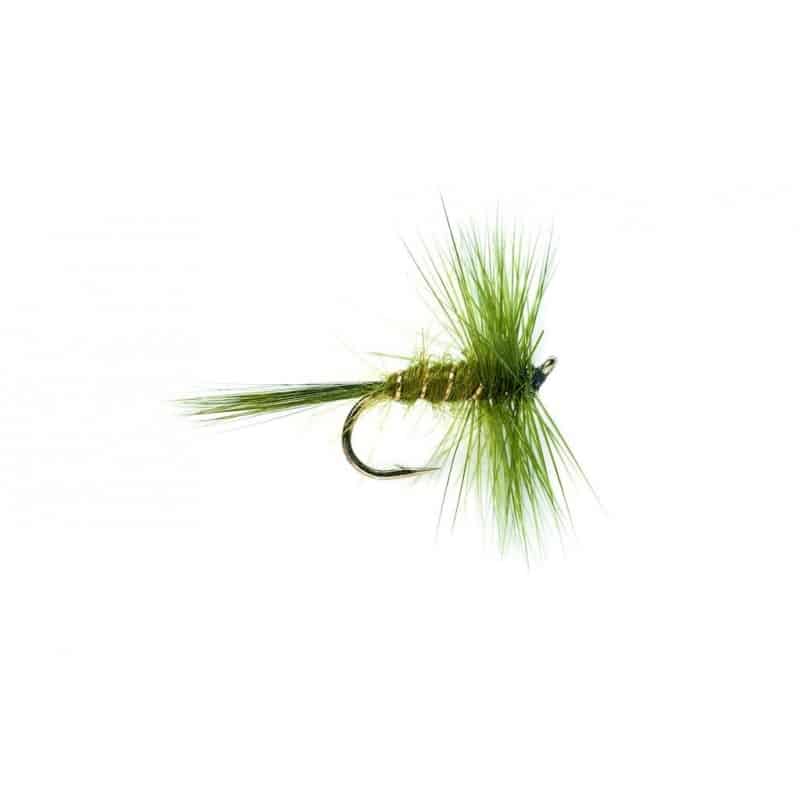 Mouche sèche Rough Olive