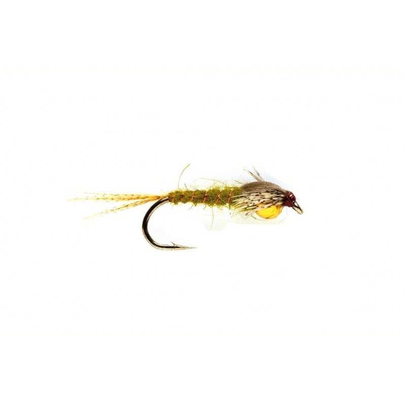 Nymphe de mouche de mai olive