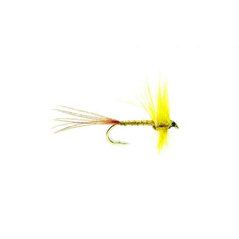 Mosely mayfly