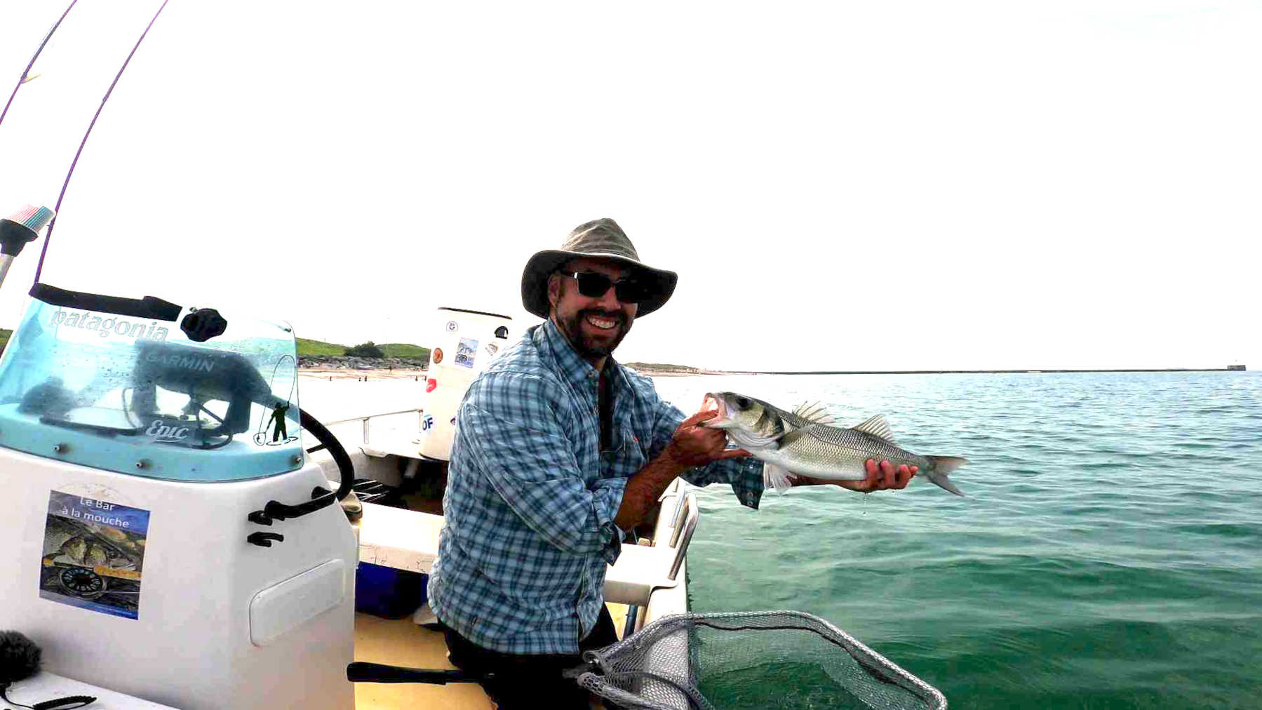 joli bar pris à la mouche