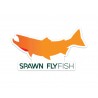 Spawn Fly Fish