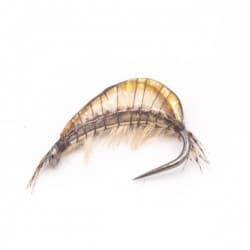 Comment monter une mouche : guide complet du montage de mouches