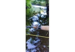 3 mouches pour la fermeture de la pêche de la truite en petite rivière