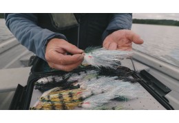 Les streamers de Paul Clydesdale et leur montage en vidéo