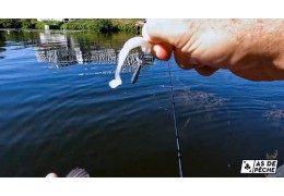Test et découverte du Vertigo Minnow de 13 Fishing